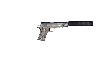 ACP C2 pistol